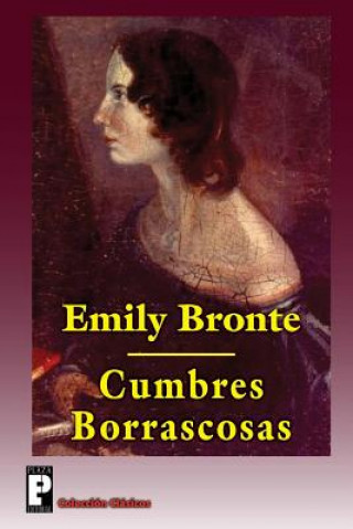 Book Cumbres Borrascosas Emily Bronte