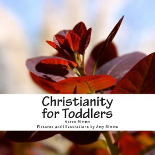 Könyv Christianity for Toddlers Rev Aaron Simms