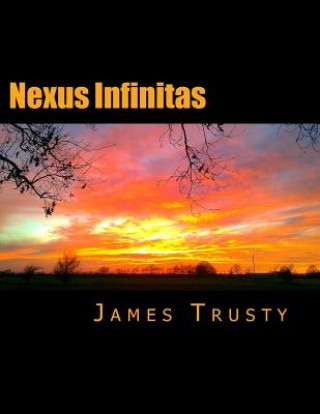 Книга Nexus Infinitas: The Seekers: Between Heaven and Hell MR James Howard Trusty