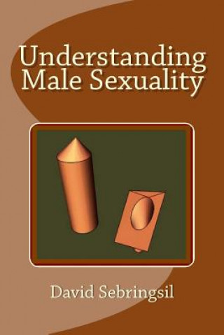 Knjiga Understanding Male Sexuality David Sebringsil