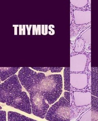 Knjiga Thymus Dr Naira R Matevosyan