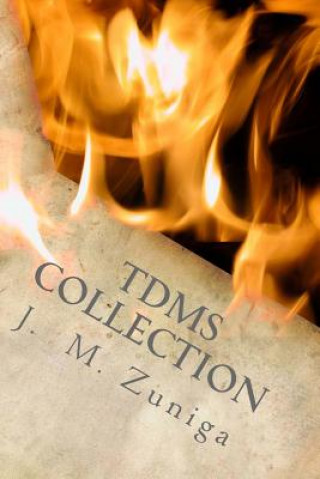 Książka TDMS Collection J M Zuniga