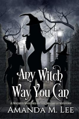 Buch Any Witch Way You Can Amanda M Lee