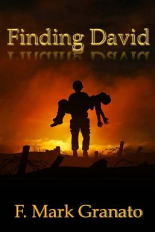 Book Finding David F Mark Granato