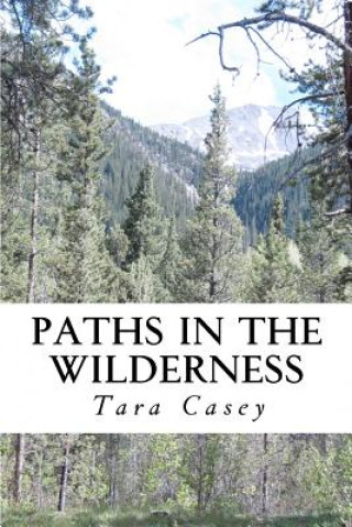 Kniha Paths in the Wilderness Tara Casey