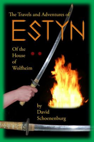 Buch The Travels and Adventures of Estyn of the House of Wolfheim: by David Schoenenburg David Schoenenburg