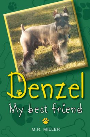 Kniha Denzel: My True Friend M R Miller