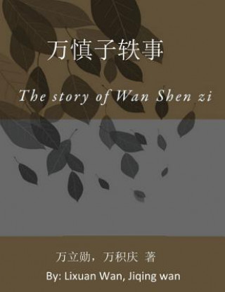 Könyv The Anecdotes of Wan Shen Zi: The story of Wan Shen zi MR Lixuan Wan
