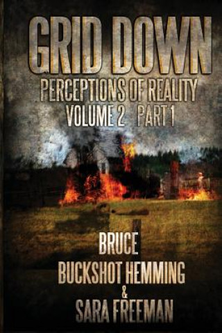 Kniha Grid Down Perceptions Of Reality Vol 2 Book 1: Vol 2 Book 1 Bruce Buckshot Hemming