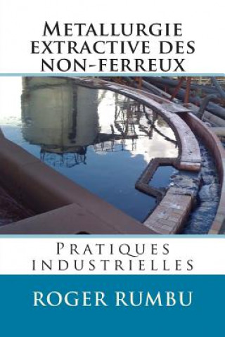 Könyv Metallurgie extractive des non-ferreux - Pratiques industrielles Roger Rumbu