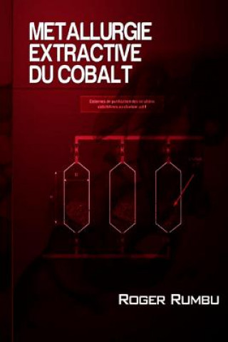 Könyv Metallurgie extractive du cobalt Roger Rumbu