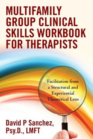 Книга Multifamily Group Clinical Skills Workbook for Therapists: Facilitation from a Structural and Experiential Theoretical Lens Mba Daniel J Sanchez