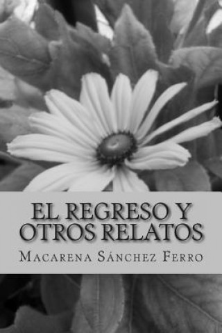 Book El regreso y otros relatos Macarena Sanchez Ferro