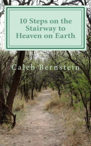 Carte 10 Steps on the Stairway to Heaven on Earth: #LearnFromMyMistakes Caleb Bernstein