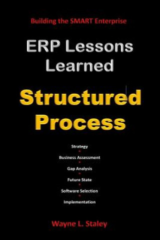 Buch ERP Lessons Learned - Structured Process Wayne L Staley