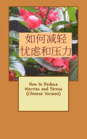 Kniha How to Reduce Worries and Stress (Chinese Version) Yujing He