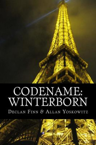 Buch Codename Declan Finn