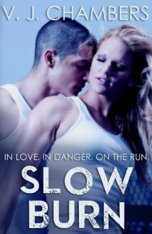Book Slow Burn V J Chambers