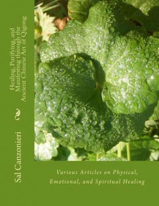 Kniha Healing, Purifying, and Manifesting through the Ancient Chinese Art of Qigong: Various Articles on Physical, Emotional, and Spiritual Healing Sal Canzonieri