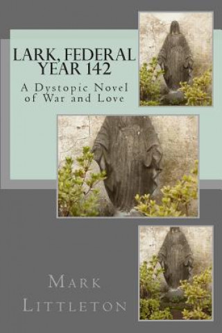 Kniha Lark, Federal Year 142: A Dystopic Novel of War and Love Mark Littleton