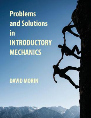Könyv Problems and Solutions in Introductory Mechanics David J Morin