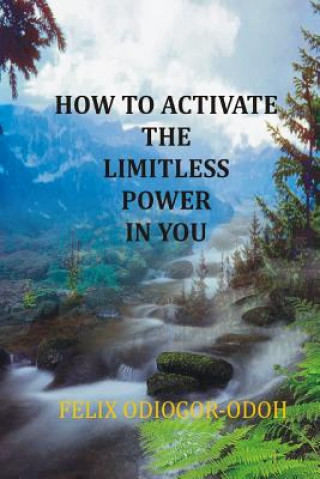 Kniha How To Activate The Limitless Power In You Felix N Odiogor-Odoh