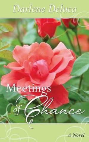 Kniha Meetings of Chance Darlene DeLuca