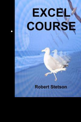 Knjiga Excel Course Robert Stetson