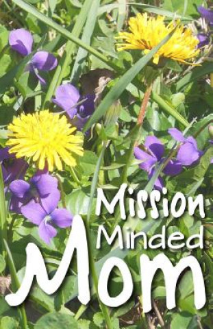 Book Mission Minded Mom Tamar Knochel