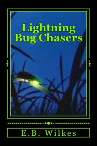 Knjiga Lightning Bug Chasers E B Wilkes