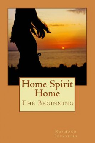 Kniha Home Spirit Home: The Beginning (Color Edition) Raymond Anthony Feurstein