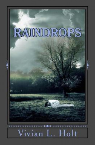 Knjiga Raindrops Vivian L Holt