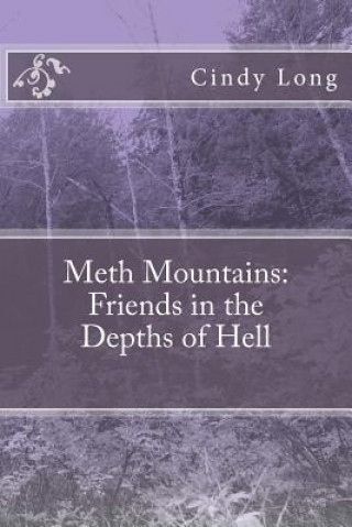 Kniha Meth Mountains: Friends in the Depths of Hell Cindy Long