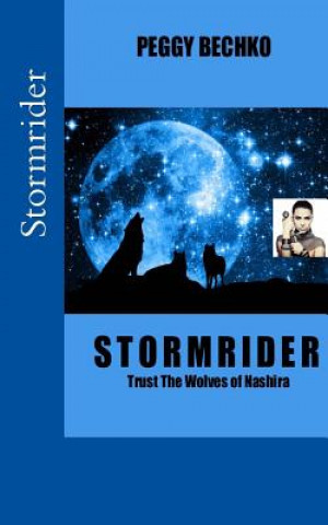 Knjiga Stormrider Peggy Bechko