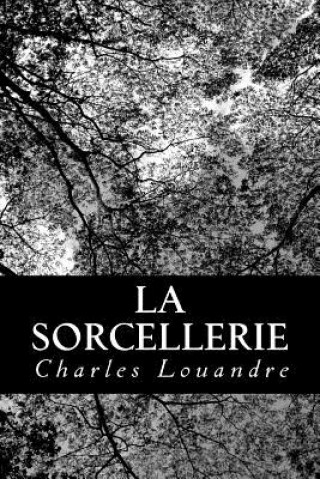 Kniha La sorcellerie Charles Louandre