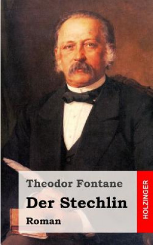 Kniha Der Stechlin: Roman Theodor Fontane