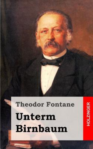 Knjiga Unterm Birnbaum Theodor Fontane