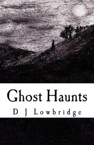 Kniha Ghost Haunts D J Lowbridge