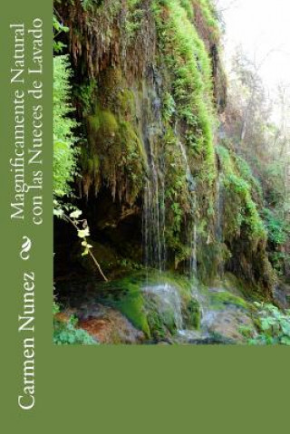 Kniha Magnificamente Natural con las Nueces de Lavado: Instrucciones de uso y recetas caseras Mrs Carmen Nunez