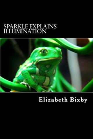 Buch Sparkle Explains Illumination Elizabeth a Bixby