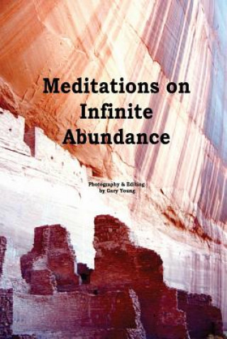 Boek Meditations On Infinite Abundance Gary Young