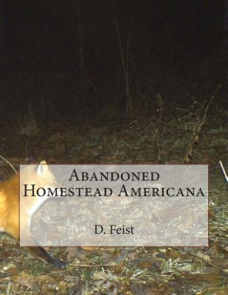 Knjiga Abandoned Homestead Americana D Feist