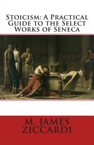 Carte Stoicism: A Practical Guide to the Select Works of Seneca M James Ziccardi