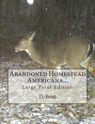 Книга Abandoned Homestead Americana...: Large Print Edition D Feist