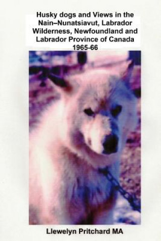 Carte Husky Dogs and Views in the Nain-Nunatsiavut, Labrador Wilderness, Newfoundland and Labrador Province of Canada 1965-66: Cover Photograph: Husky Dog ( Llewelyn Pritchard Ma