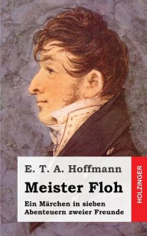 Buch Meister Floh E. T. A. Hoffmann