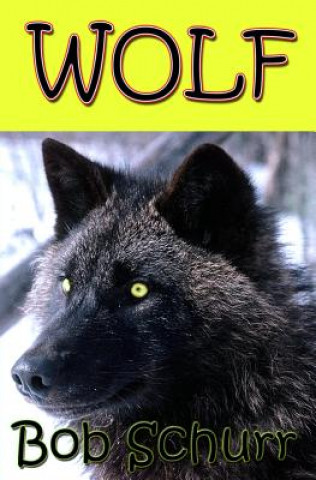 Kniha Wolf Bob Schurr