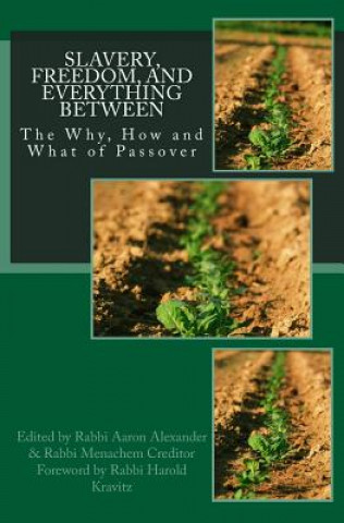 Könyv Slavery, Freedom, and Everything Between: The Why, How and What of Passover Menachem Creditor