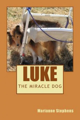 Kniha Luke - The Miracle Dog Marianne Stephens