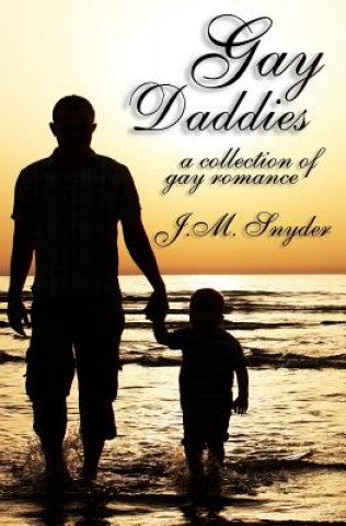 Kniha Gay Daddies J M Snyder